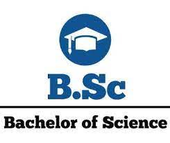 Bachelor of Science (PCM) SG University