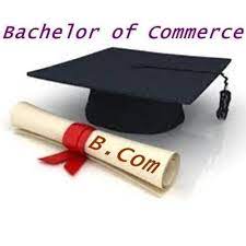 Bachelor of Commerce SG University